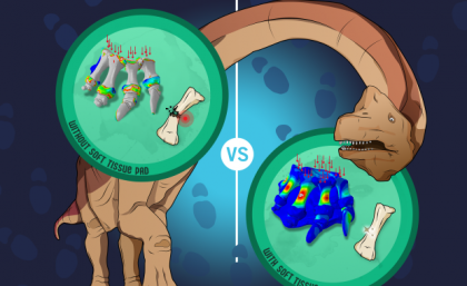 A diagram with a brown sauropod showing the how soft tissue allowed large dinosaurs to walk on land